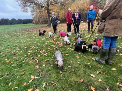 26191a7b-f1fd-47fe-a4e3-46f27d6d3181