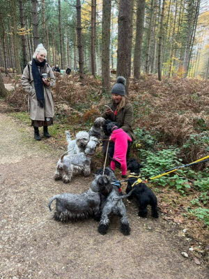 c688d77c-3332-4234-af8a-a55b2498279c