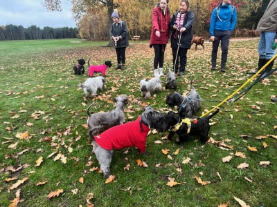 d7bd61ec-7749-470b-8c83-9a3b1264a994